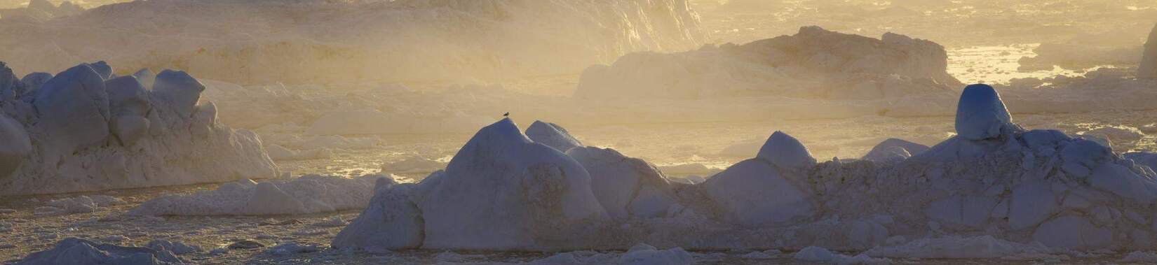 Nature image Ice floes in the morning sun from the photo series “Freshwater landscapes”