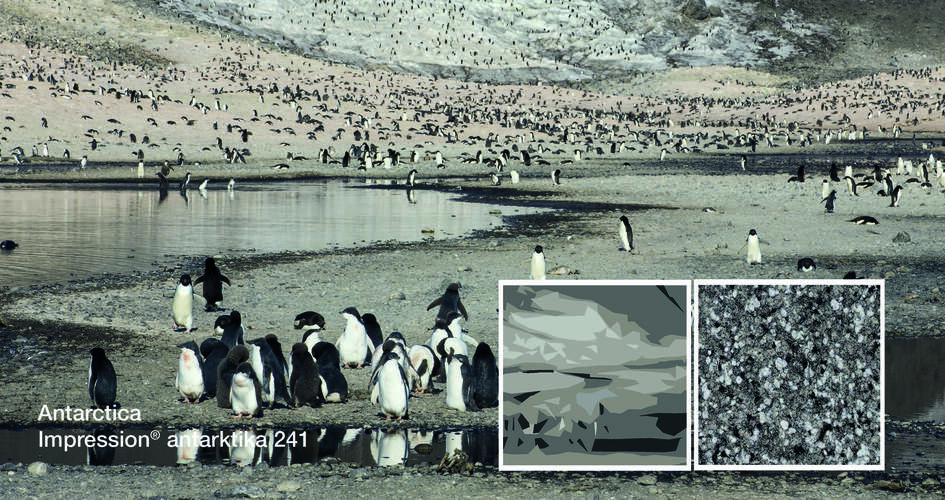 Photo nature « Antarctica » dans les tons de gris