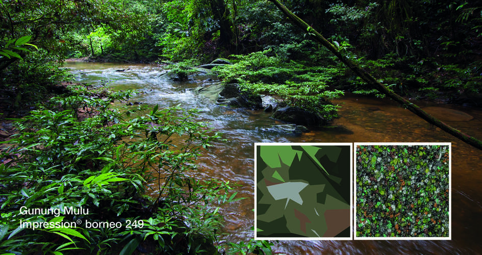 Naturfoto «Gunung Mulu» in Grüntönen